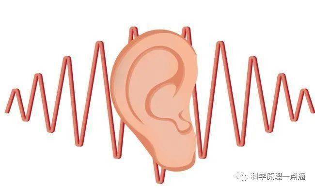 爱科学我们是怎样听到声音的