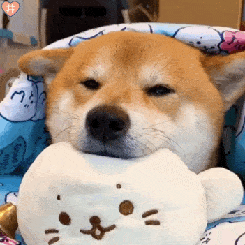 舔狗的快乐 e2c5d1c461b44b38969a63230c5120db.gif