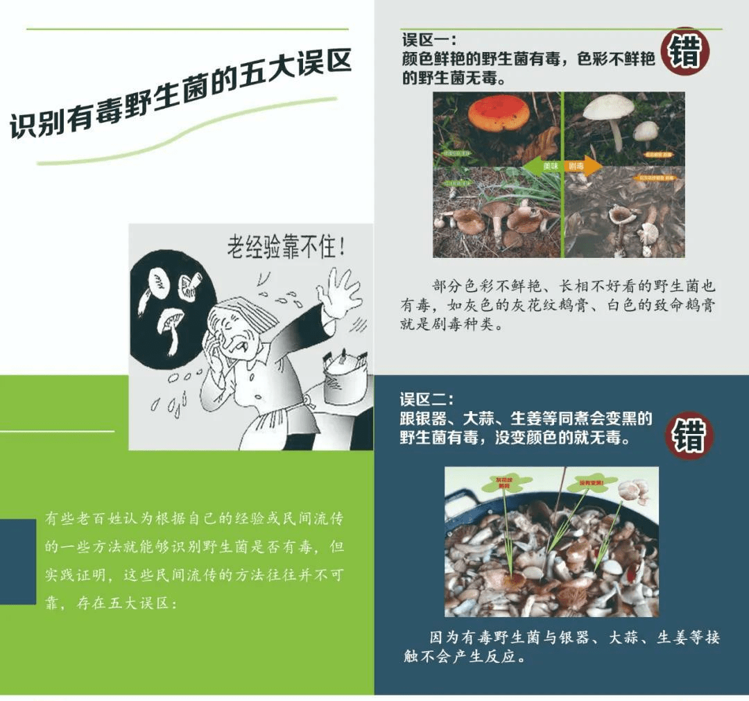 野生菌中毒预防小知识