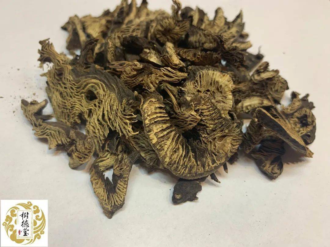 每周药对葛根升麻