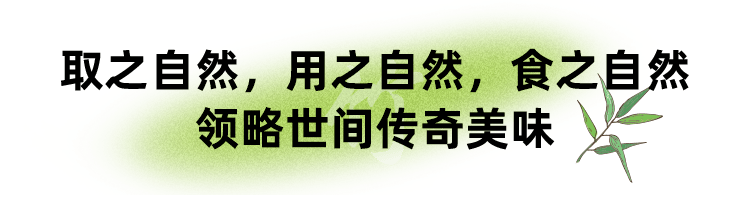 上海|隐秘于市中心的空中竹林，与大自然撞个满怀！