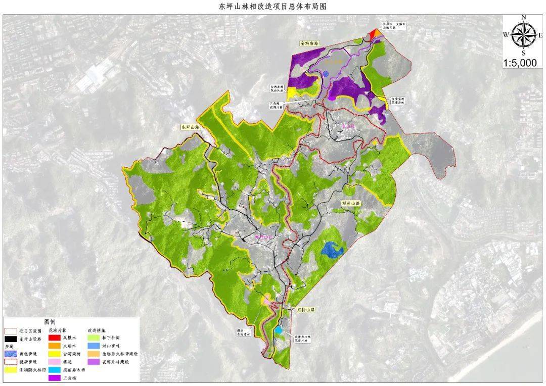 4公里!东坪山将添一条"最美"健康步道!起于东山水库,终于环岛路