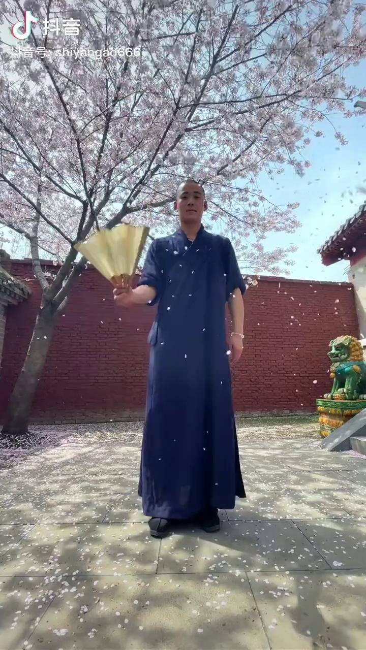 生活明朗人生可爱人间值得万物可期释延高少林寺樱花