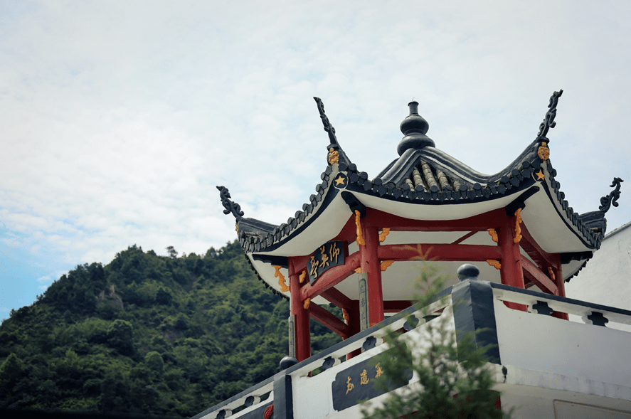 地址:龙港市云岩鲸头社区杨府东路 100家!