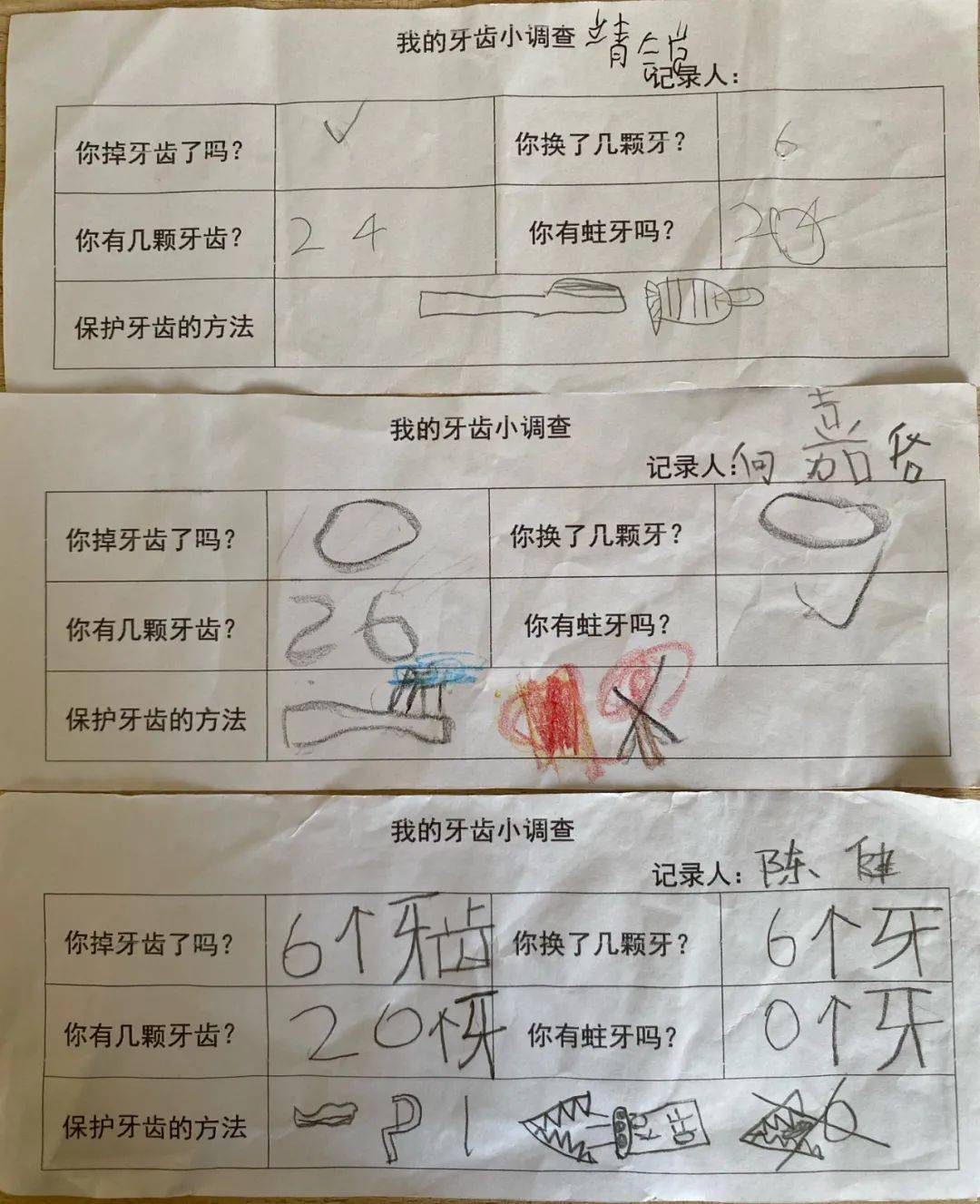 伟才园所丨探索牙齿的秘密广东顺德陈村伟才幼儿园