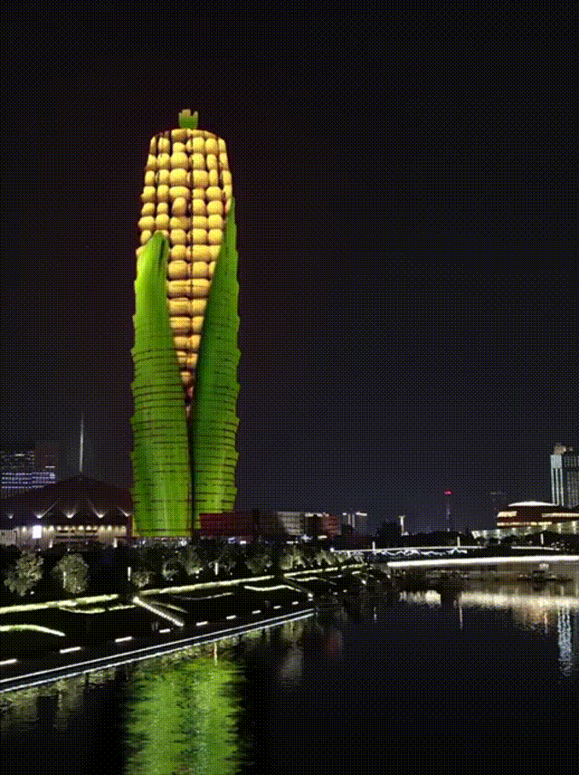 郑州大玉米观光图片