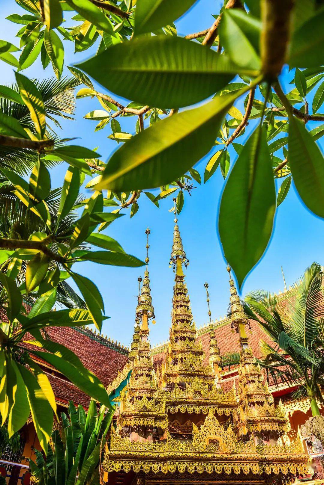 不出国也能感受东南亚风情,童话般的热带园林