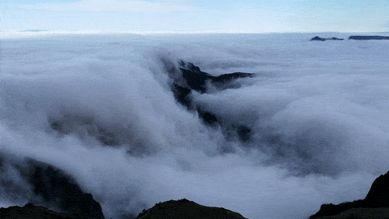 夏日云上花海牧场,可奢可简,285km 从容闲淡 含路况说明_高山