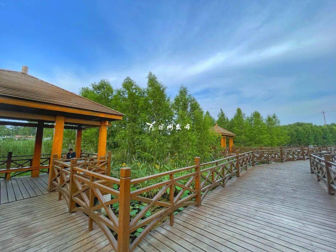 很漂亮隐藏在宿州城市中的湿地公园你去过吗