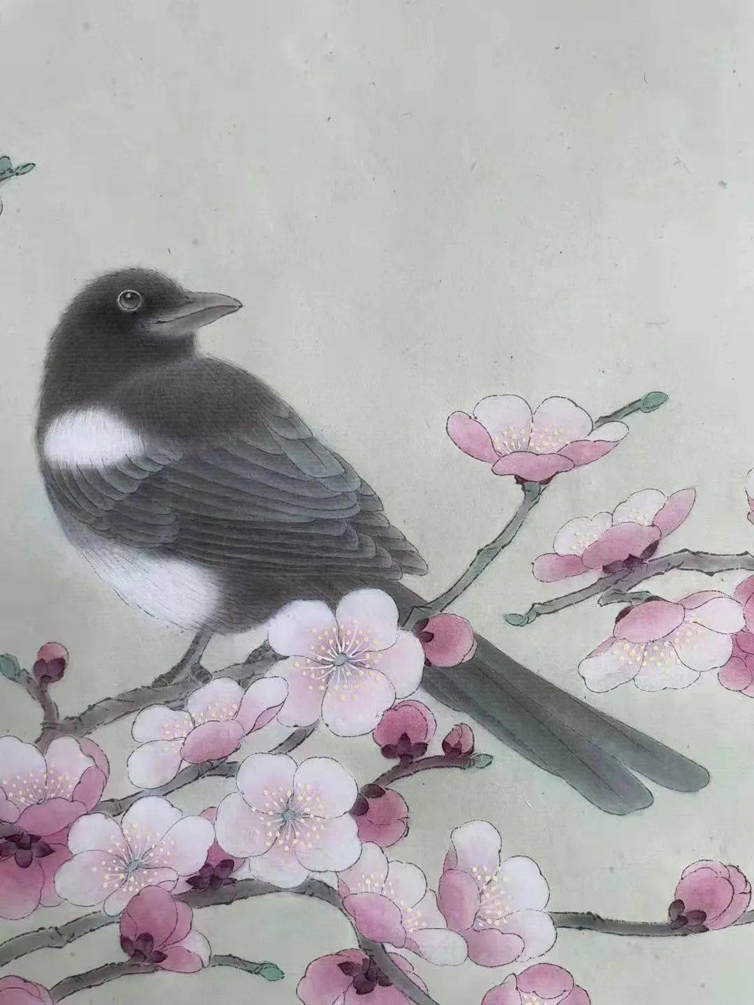 梅花·喜鹊瓜叶菊·珍珠鸟碧桃·三道眉草鹀丁香花·画眉鸟现为上海