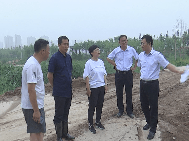 张荣霞,王志亮一行先后来到长安路, 一号干渠,开发区迎宾路,青年干渠