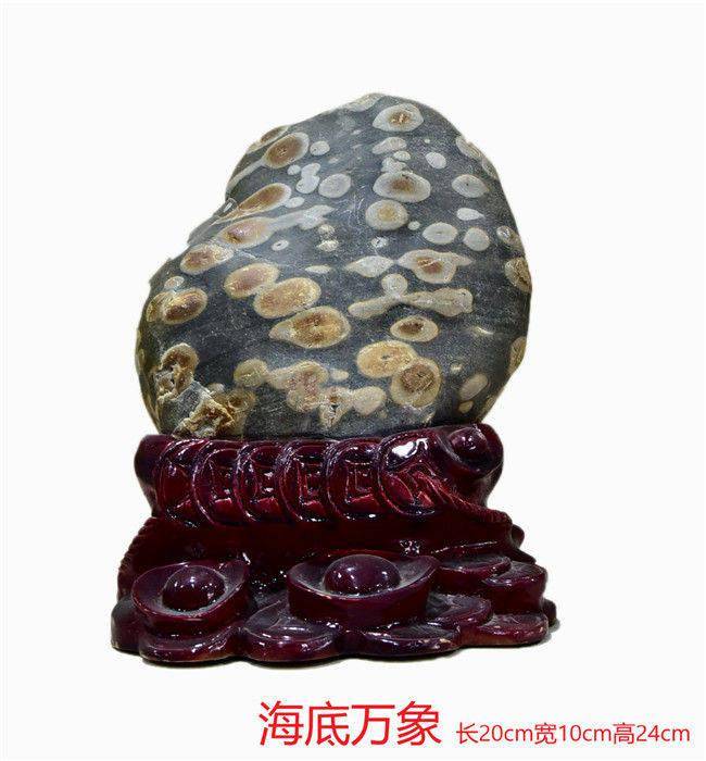 疯狂的石头品鉴石痴张宗坤的奇石艺术