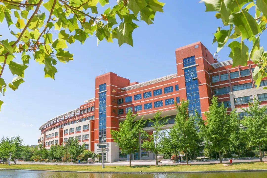 山东科技大学全国排名_山东大学排名威海图片(3)