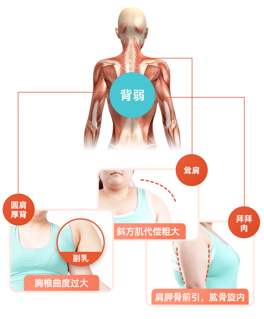 背薄了手臂細了肩不圓了練完變瘦還更有氣質了