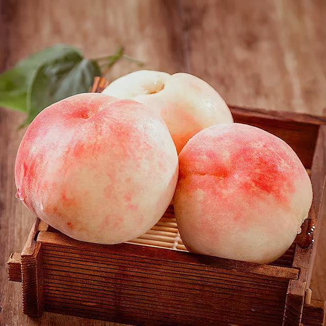 南汇水蜜桃即将上市小布带你抢鲜看