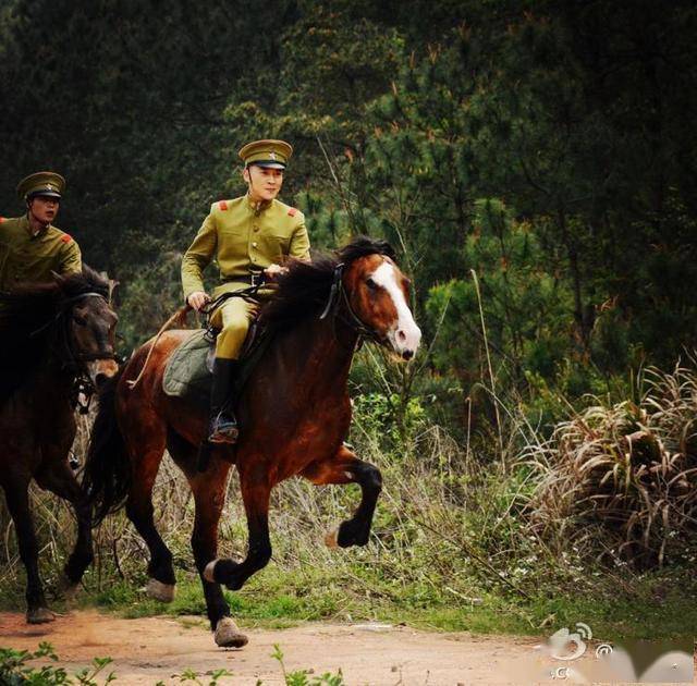 演员曹磊什么时候成都不晚