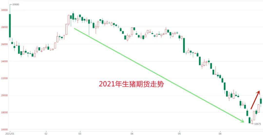 基金今日行情怎么看 f6e05822304447c8bb1ba29886b5482c.jpeg