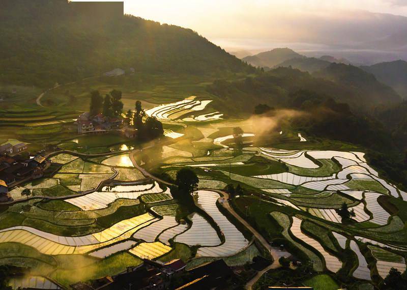 湖南懷化:布村梯田夏日美景 雲霧繚繞宛如仙境