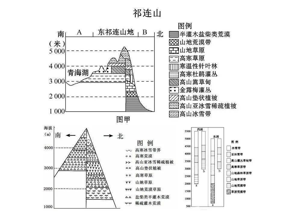 曲谱小结怎么定_陶笛曲谱12孔