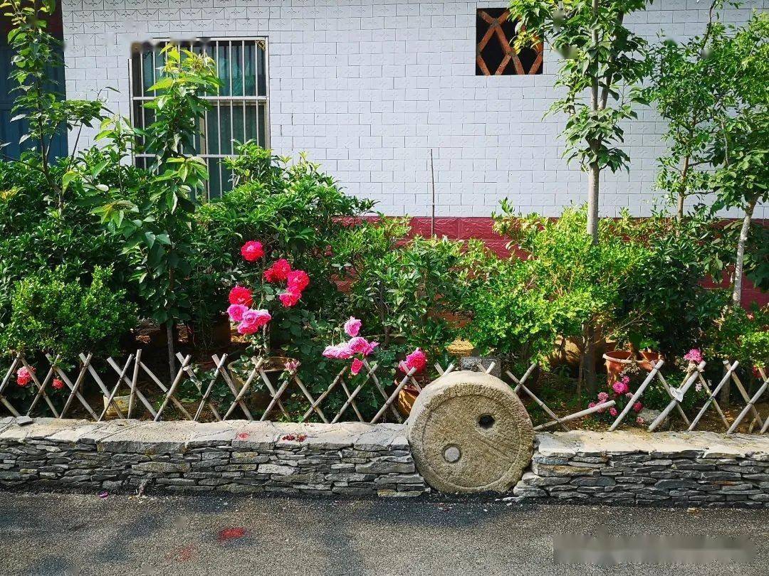山东兰陵白山村:旧貌换新颜_绿化