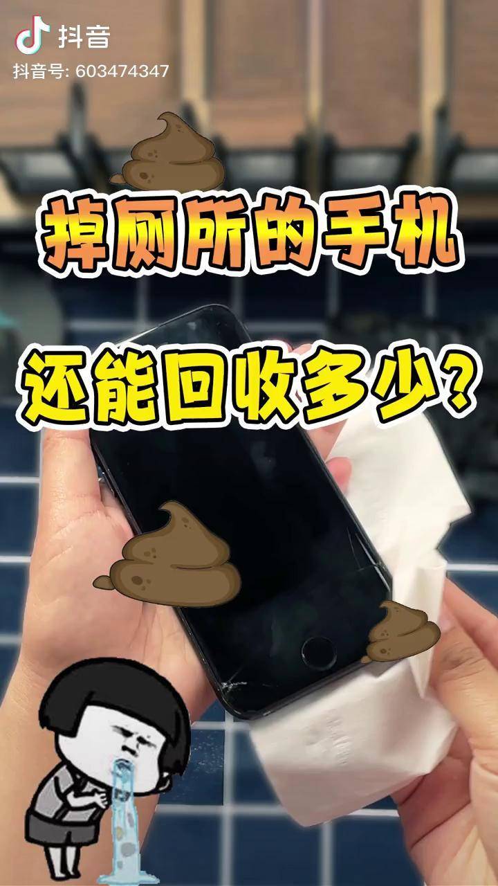 手机掉厕所里了还能要吗沙雕