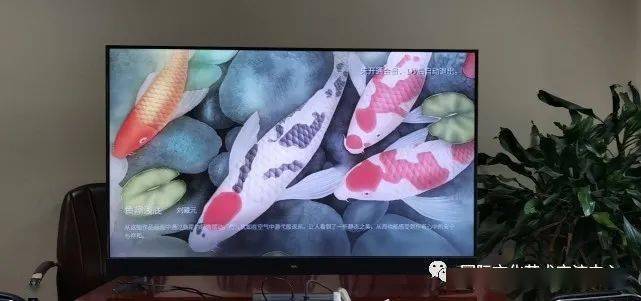 6abfb9941cf748ffbc66238d1788ffc2.jpeg