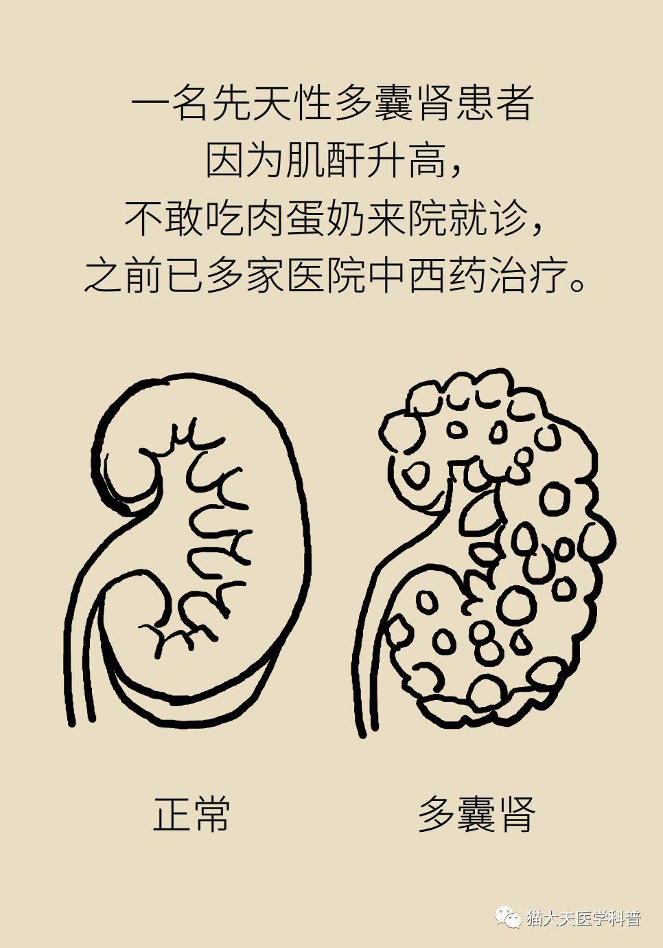 营养|营养门诊“管得真宽”，医生讲述“破纪录”的一天