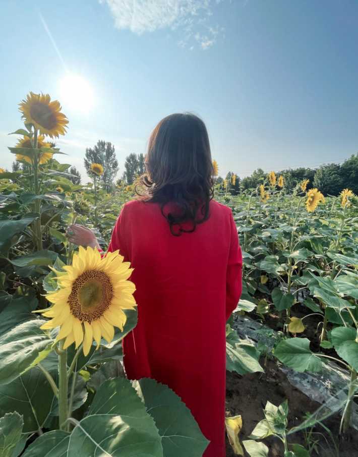 1亩大地艺术"点赞100" 献礼建党百年_济南