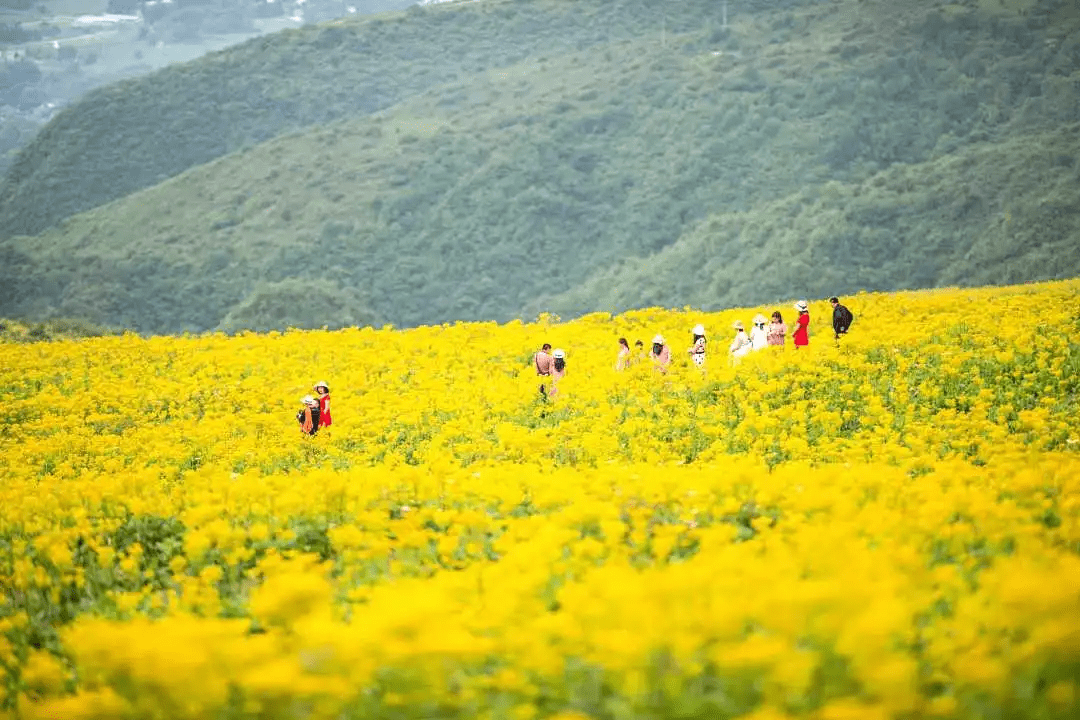 汉源网红景点图片