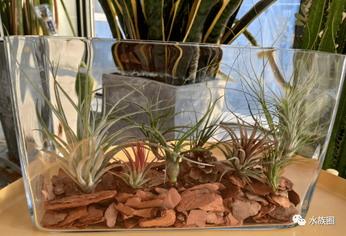 沙漠戈壁景观被我们忽略的美好!_造景