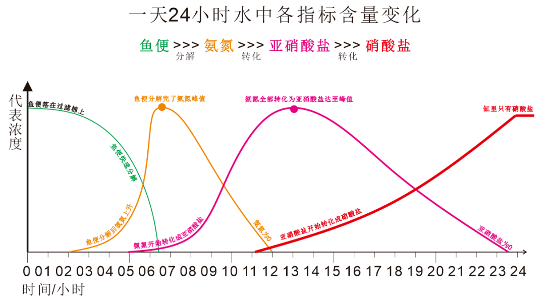 鱼缸水中氨氮和亚硝酸盐动态表现(24小时)