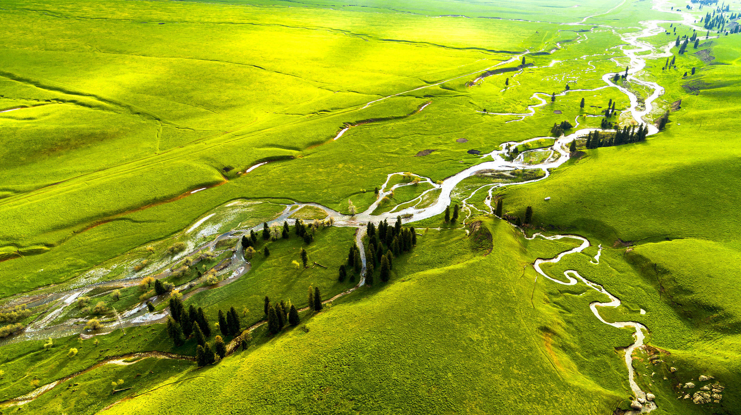达州空中草原风景区图片