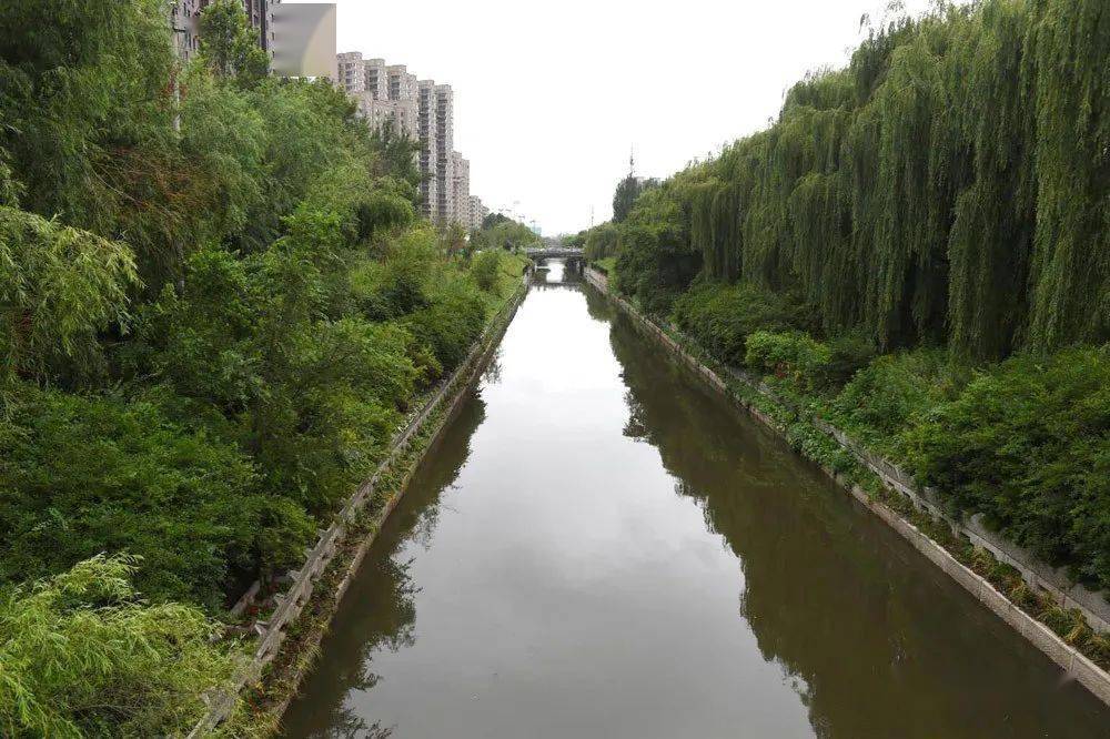 抚松明沟永春河吐口一到雨季易发生溢流,影响周边水体水质和生态环境.