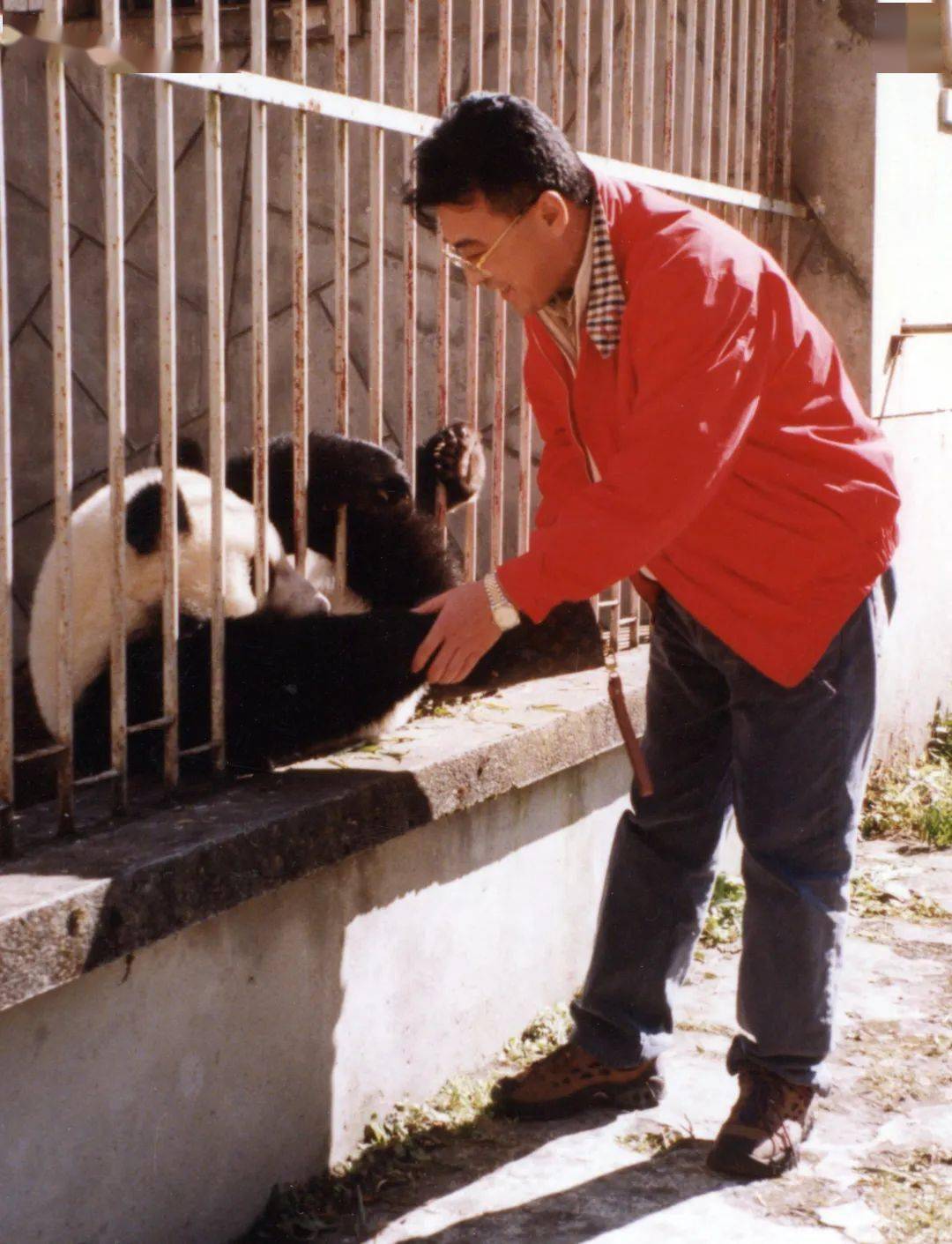 瓷善再臨動物友好型生活方式嘉年華在瓷房子舉辦