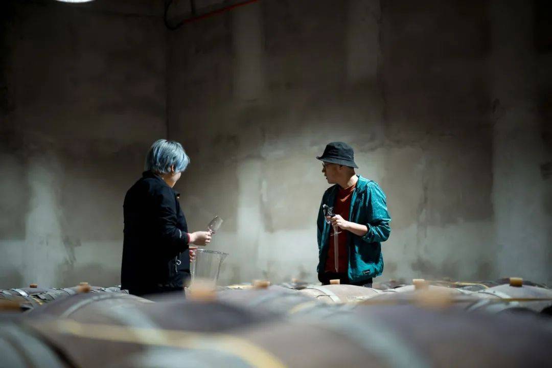 Wine|为什么最近火爆全球的酒，越土越火？