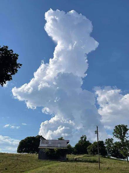 网友偶然看到狗狗形状的云朵,还是蹦起来的,幸运得不行!