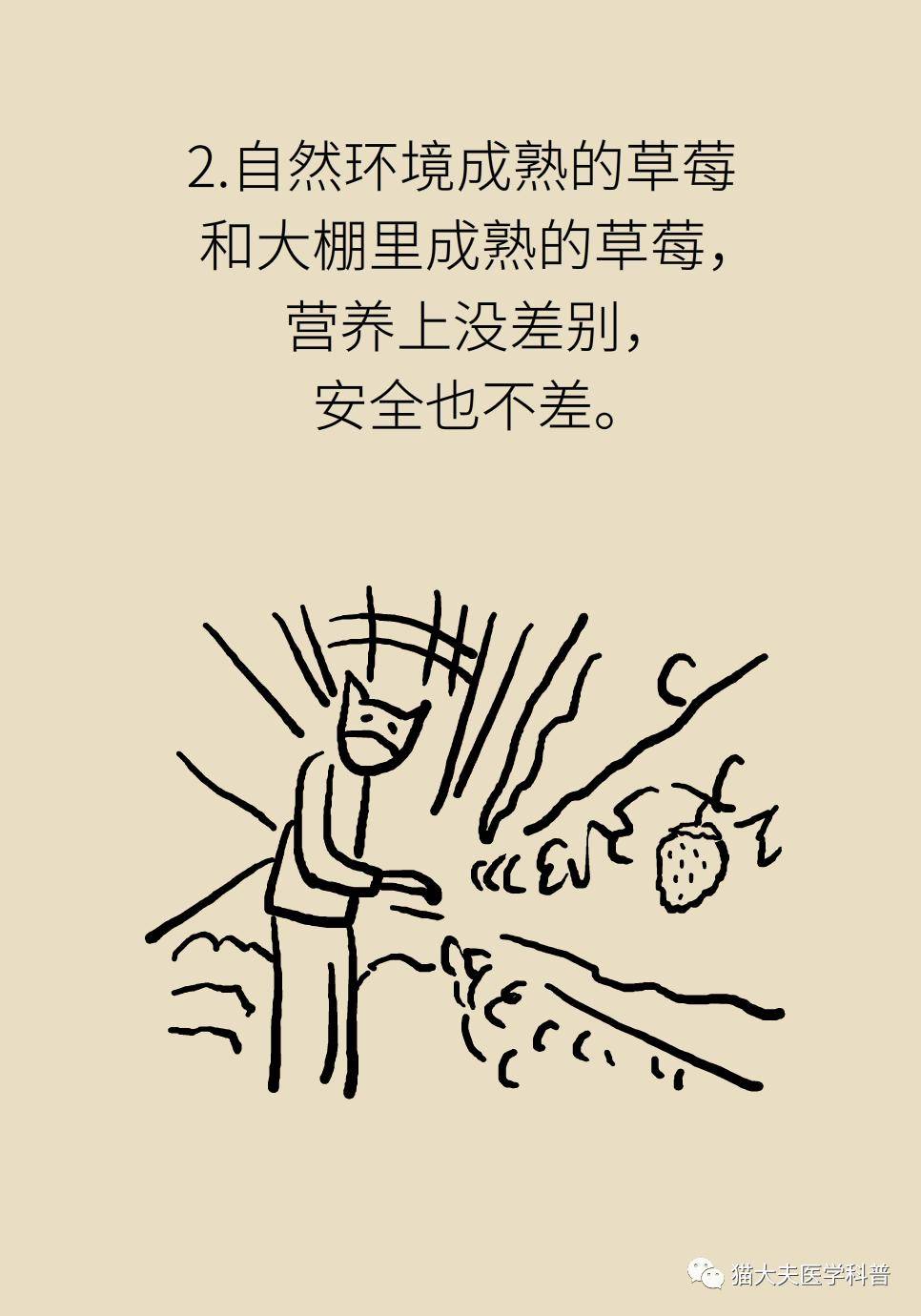 aspx|最常吃的6种浆果，哪个营养最好？