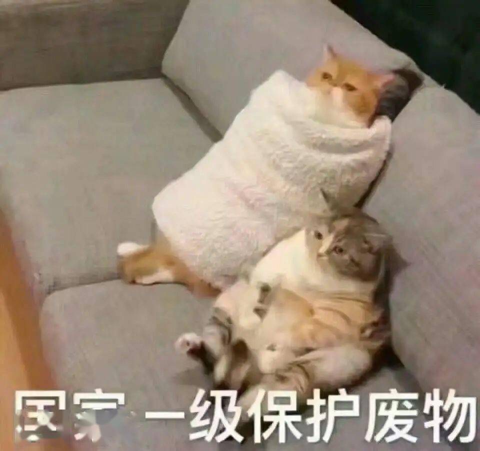 883875307fc044208d793a78f7c4affe.jpeg