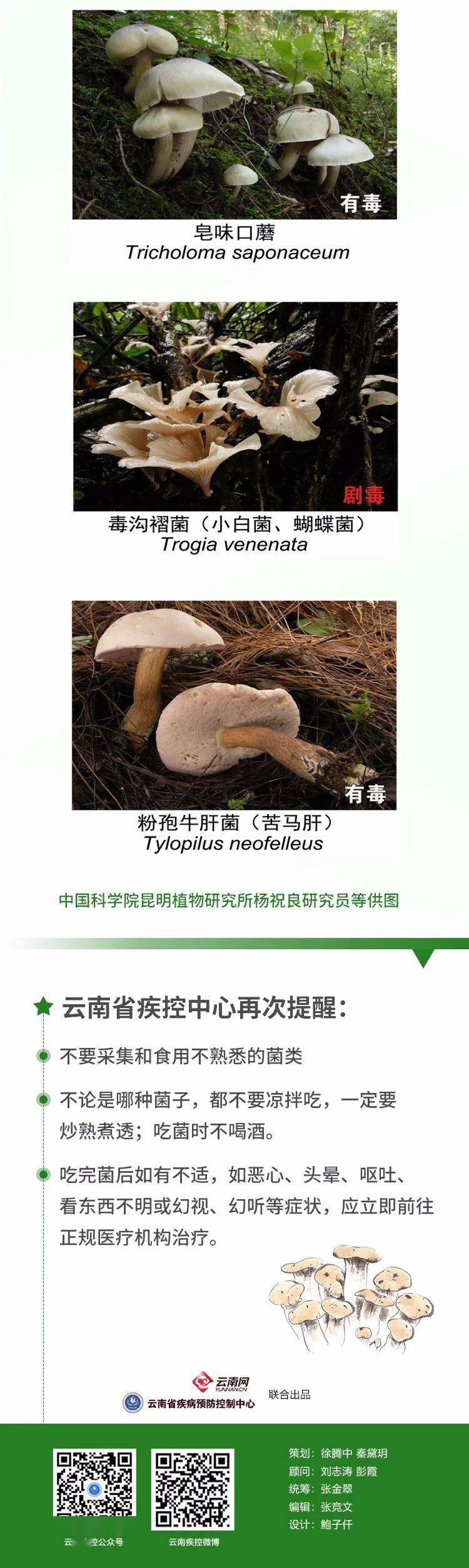 云南大象会不会吃到毒蘑菇？专家：人家“学”过！