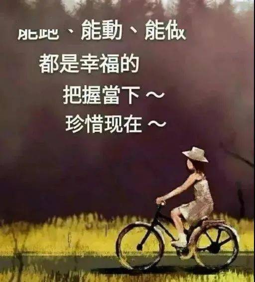 920d1d7c19404a80a0367256cedce1e2.jpeg