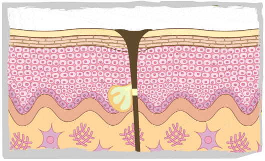 530_323gif 动态图 动图