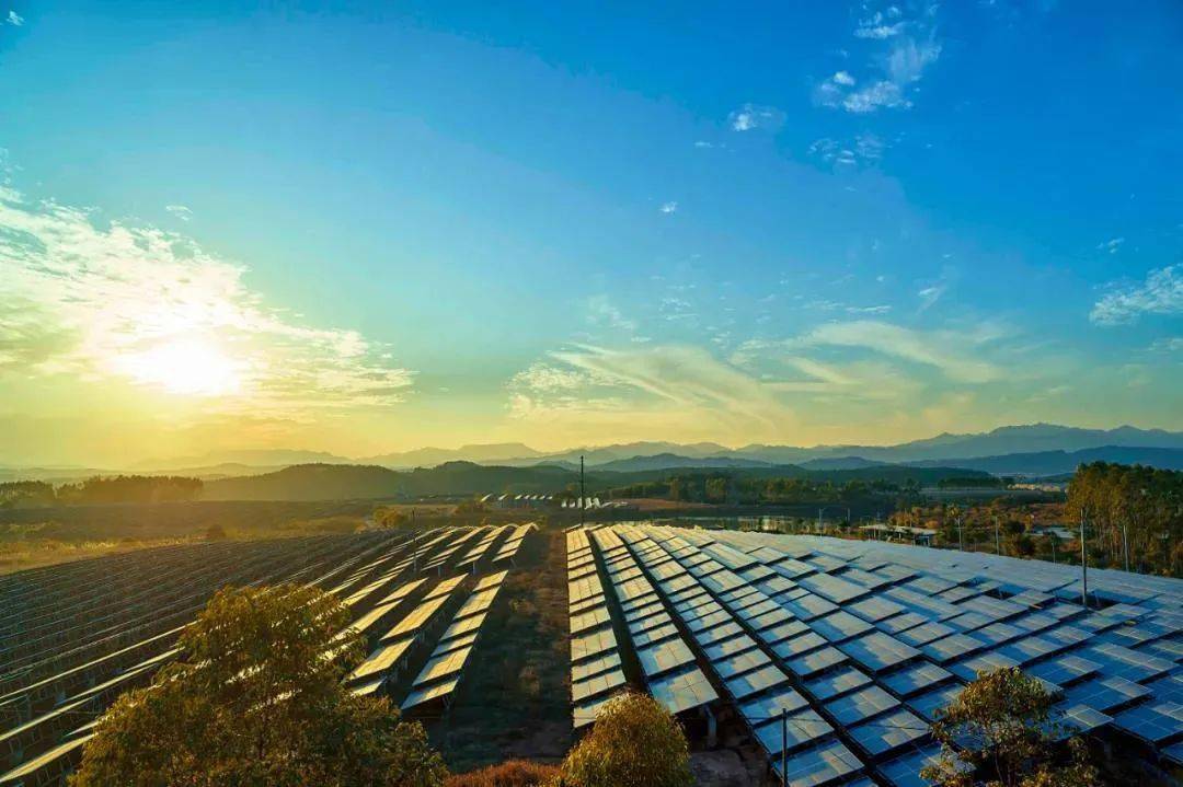 河源周末嘻游记丨假期大逃离带孩子一起探秘万亩光伏基地古树公园体验