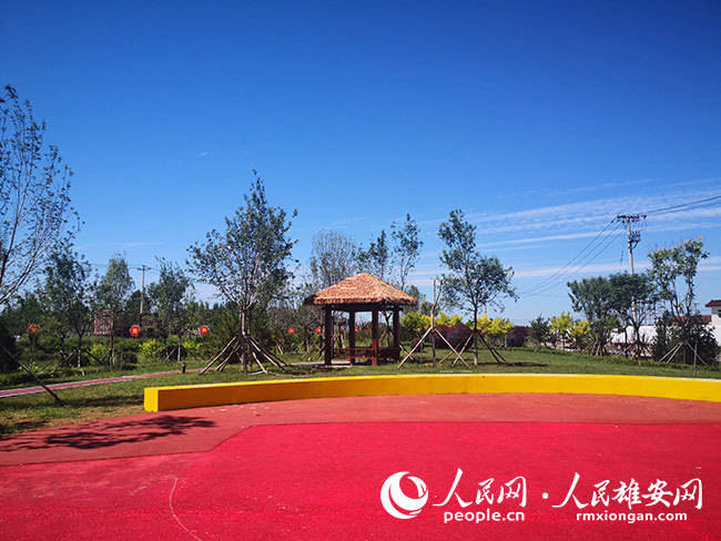 学党史办实事丨雄安雄县龙湾镇胡各庄村党支部书记温波相比荣誉村民的