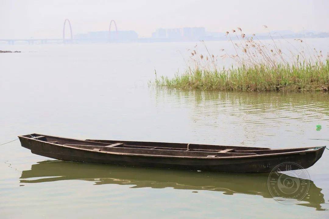 野草|中国摄影网签约摄影师深蓝：多余的地方