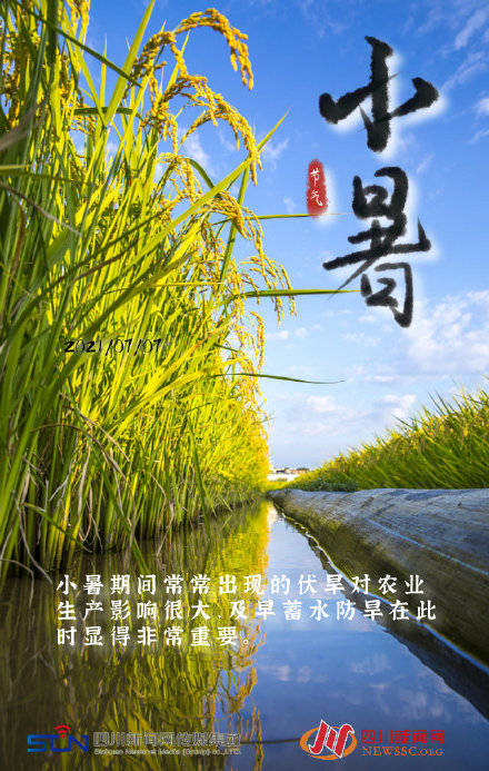 海报|海报丨倏忽温风至 因循小暑来