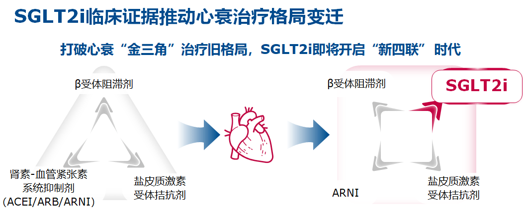 2021esc心衰指南更新sglt2i成功加盟新四聯療法憑的是什麼