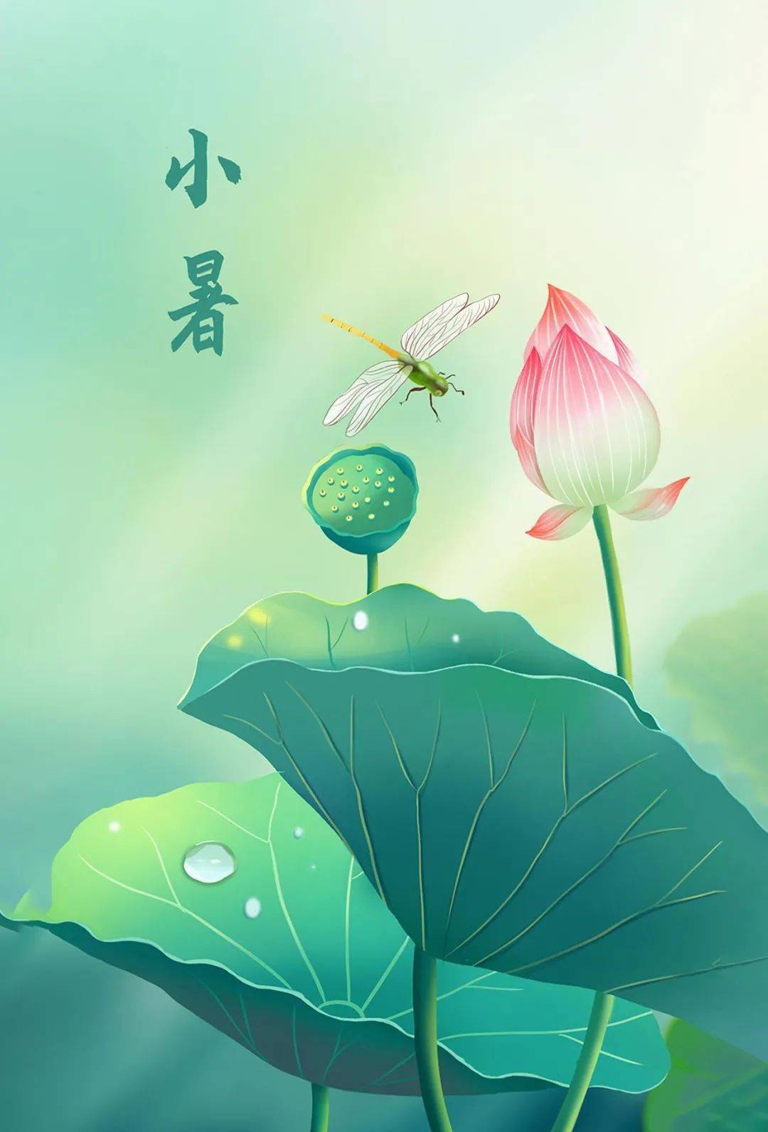 【漫步二十四节气】 小暑