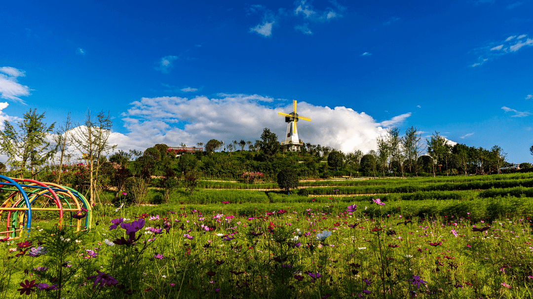 正在公示 | 这次是达川区百节镇乌梅山村_调整