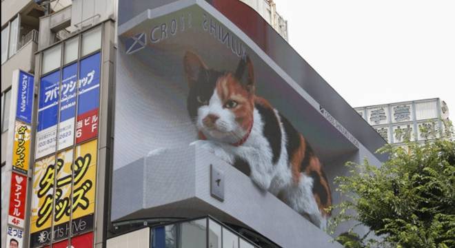 超逼真!日本新宿火车站外出现3d大花猫