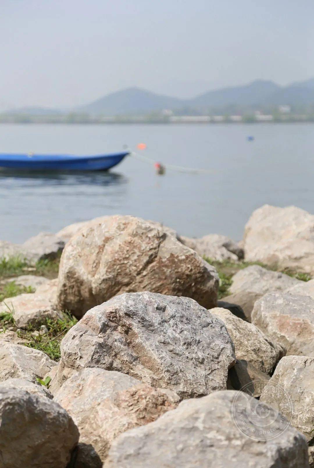 野草|中国摄影网签约摄影师深蓝：多余的地方